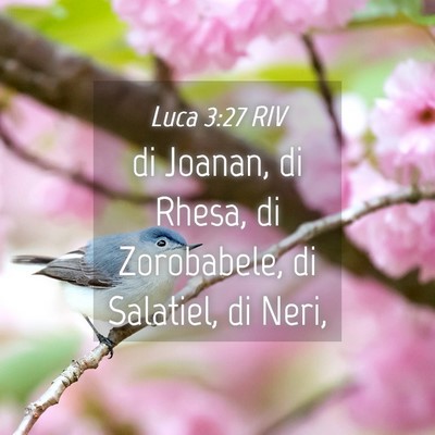 Picture 04 - Luca 3:27 RIV - di Joanan, di Rhesa, di Zorobabele, di Salatiel, - Bible Verse Picture