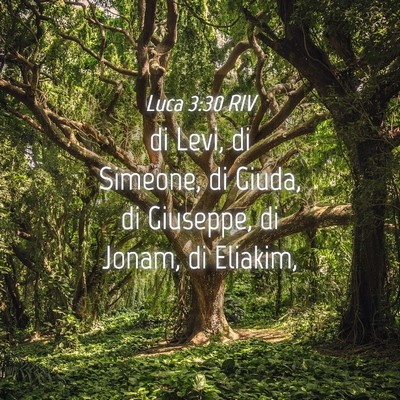 Picture 04 - Luca 3:30 RIV - di Levi, di Simeone, di Giuda, di Giuseppe, di - Bible Verse Picture