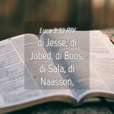 Picture 04 - Luca 3:32 RIV - di Jesse, di Jobed, di Boos, di Sala, di - Bible Verse Picture