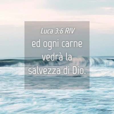 Picture 04 - Luca 3:6 RIV - ed ogni carne vedrà la salvezza di - Bible Verse Picture