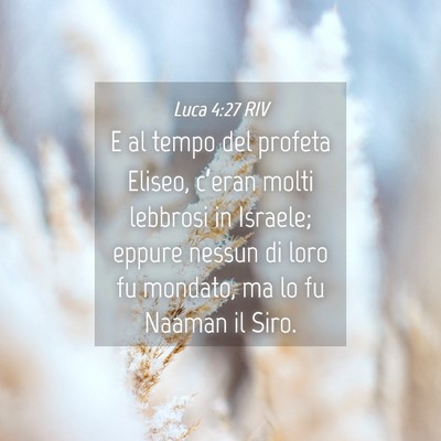 Picture 04 - Luca 4:27 RIV - E al tempo del profeta Eliseo, c’eran molti - Bible Verse Picture