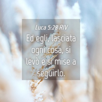 Picture 04 - Luca 5:28 RIV - Ed egli, lasciata ogni cosa, si levò e si mise a - Bible Verse Picture