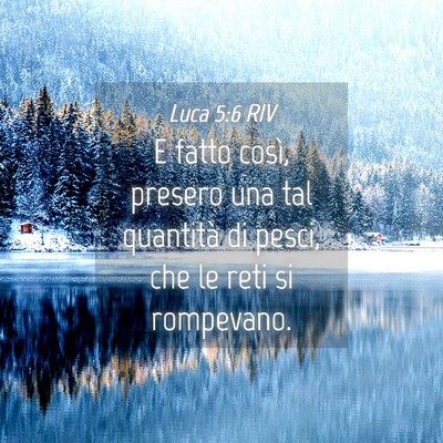 Picture 04 - Luca 5:6 RIV - E fatto così, presero una tal quantità di - Bible Verse Picture