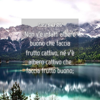 Picture 04 - Luca 6:43 RIV - Non v’è infatti albero buono che faccia frutto - Bible Verse Picture