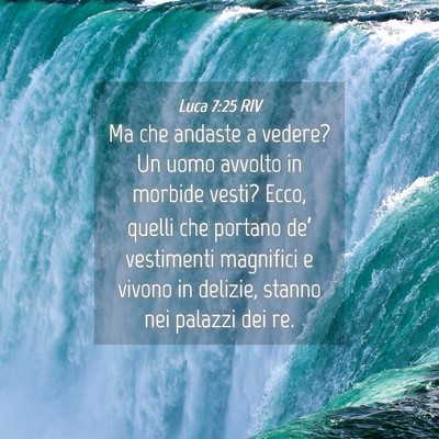 Picture 04 - Luca 7:25 RIV - Ma che andaste a vedere? Un uomo avvolto in - Bible Verse Picture