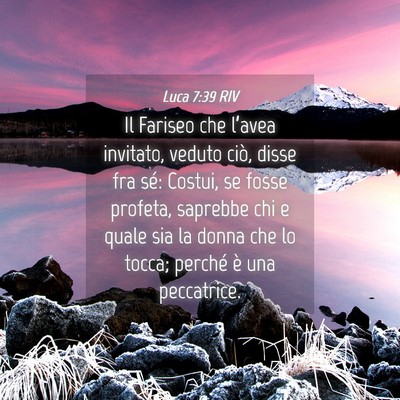 Picture 04 - Luca 7:39 RIV - Il Fariseo che l’avea invitato, veduto ciò, - Bible Verse Picture