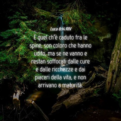 Picture 04 - Luca 8:14 RIV - E quel ch’è caduto fra le spine, son coloro - Bible Verse Picture
