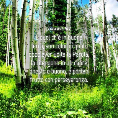 Picture 04 - Luca 8:15 RIV - E quel ch’è in buona terra, son coloro i - Bible Verse Picture