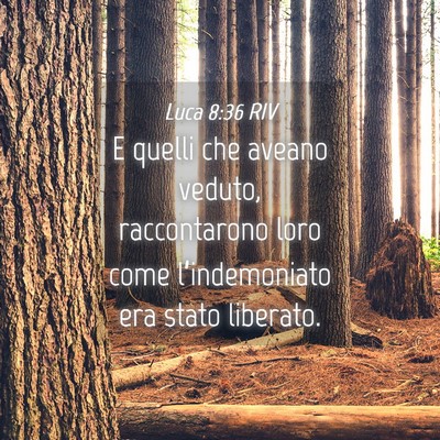 Picture 04 - Luca 8:36 RIV - E quelli che aveano veduto, raccontarono loro - Bible Verse Picture