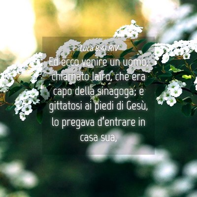 Picture 04 - Luca 8:41 RIV - Ed ecco venire un uomo, chiamato Iairo, che era - Bible Verse Picture