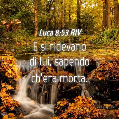 Picture 04 - Luca 8:53 RIV - E si ridevano di lui, sapendo ch’era - Bible Verse Picture