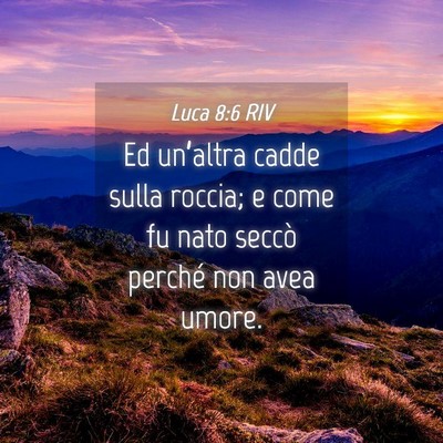 Picture 04 - Luca 8:6 RIV - Ed un’altra cadde sulla roccia; e come fu nato - Bible Verse Picture