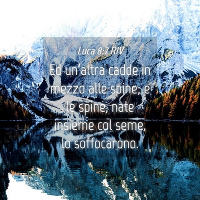 Picture 04 - Luca 8:7 RIV - Ed un’altra cadde in mezzo alle spine; e le - Bible Verse Picture