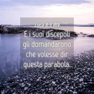 Picture 04 - Luca 8:9 RIV - E i suoi discepoli gli domandarono che volesse - Bible Verse Picture