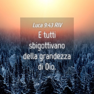 Picture 04 - Luca 9:43 RIV - E tutti sbigottivano della grandezza di - Bible Verse Picture