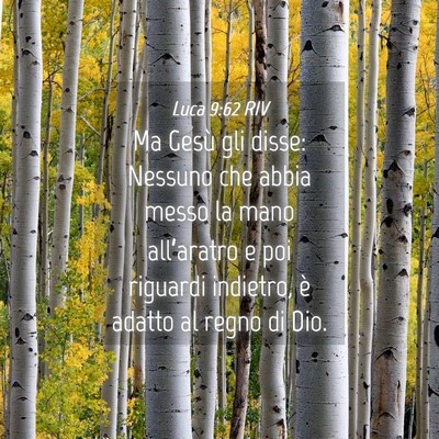 Picture 04 - Luca 9:62 RIV - Ma Gesù gli disse: Nessuno che abbia messo la - Bible Verse Picture