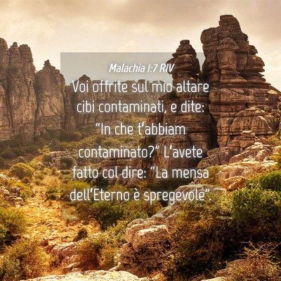 Picture 04 - Malachia 1:7 RIV - Voi offrite sul mio altare cibi contaminati, e - Bible Verse Picture