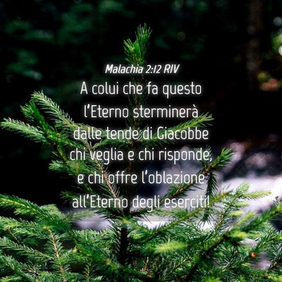 Picture 04 - Malachia 2:12 RIV - A colui che fa questo l’Eterno sterminerà - Bible Verse Picture