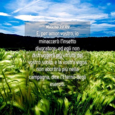 Picture 04 - Malachia 3:11 RIV - E, per amor vostro, io minaccerò l’insetto - Bible Verse Picture