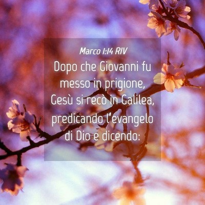 Picture 04 - Marco 1:14 RIV - Dopo che Giovanni fu messo in prigione, Gesù si - Bible Verse Picture