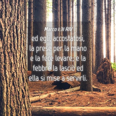 Picture 04 - Marco 1:31 RIV - ed egli, accostatosi, la prese per la mano e la - Bible Verse Picture