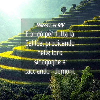 Picture 04 - Marco 1:39 RIV - E andò per tutta la Galilea, predicando nelle - Bible Verse Picture