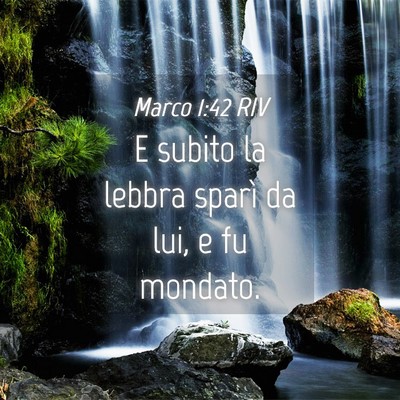 Picture 04 - Marco 1:42 RIV - E subito la lebbra sparì da lui, e fu - Bible Verse Picture