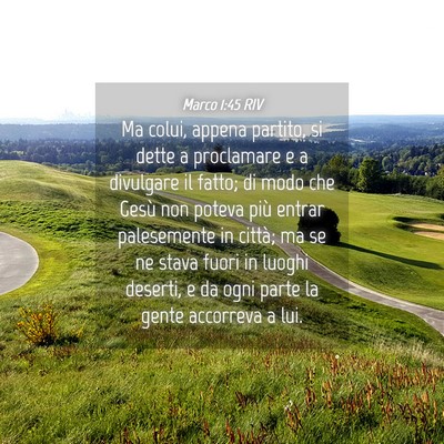 Picture 04 - Marco 1:45 RIV - Ma colui, appena partito, si dette a proclamare e - Bible Verse Picture