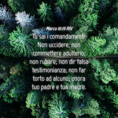 Picture 04 - Marco 10:19 RIV - Tu sai i comandamenti: Non uccidere; non - Bible Verse Picture