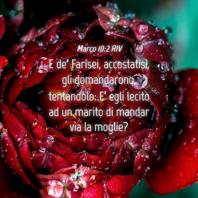 Picture 04 - Marco 10:2 RIV - E de’ Farisei, accostatisi, gli domandarono, - Bible Verse Picture