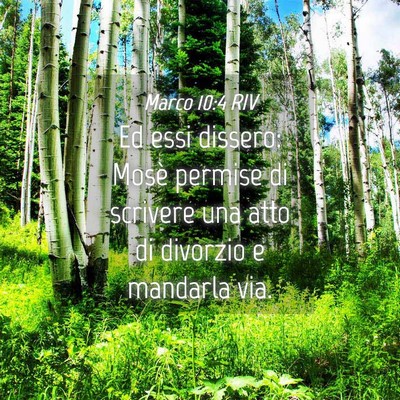 Picture 04 - Marco 10:4 RIV - Ed essi dissero: Mosè permise di scrivere una - Bible Verse Picture