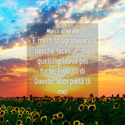 Picture 04 - Marco 10:48 RIV - E molti lo sgridavano perché tacesse; ma quello - Bible Verse Picture