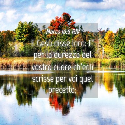 Picture 04 - Marco 10:5 RIV - E Gesù disse loro: E’ per la durezza del - Bible Verse Picture