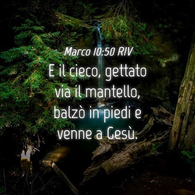 Picture 04 - Marco 10:50 RIV - E il cieco, gettato via il mantello, balzò in - Bible Verse Picture