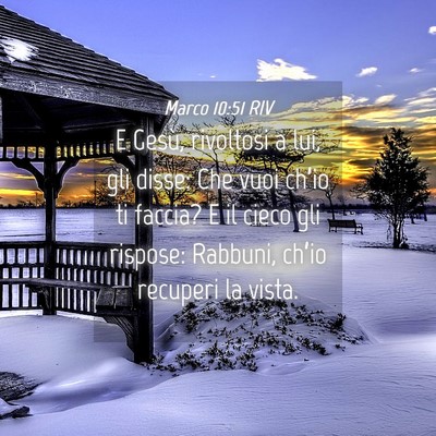 Picture 04 - Marco 10:51 RIV - E Gesù, rivoltosi a lui, gli disse: Che vuoi - Bible Verse Picture