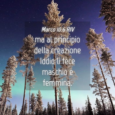 Picture 04 - Marco 10:6 RIV - ma al principio della creazione Iddio li fece - Bible Verse Picture