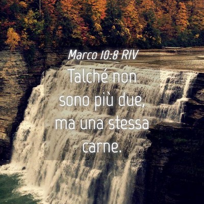 Picture 04 - Marco 10:8 RIV - Talché non sono più due, ma una stessa - Bible Verse Picture