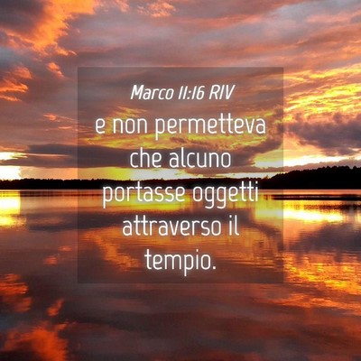 Picture 04 - Marco 11:16 RIV - e non permetteva che alcuno portasse oggetti - Bible Verse Picture