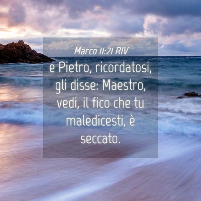 Picture 04 - Marco 11:21 RIV - e Pietro, ricordatosi, gli disse: Maestro, vedi, - Bible Verse Picture