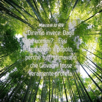 Picture 04 - Marco 11:32 RIV - Diremo invece: Dagli uomini?… Essi temevano il - Bible Verse Picture