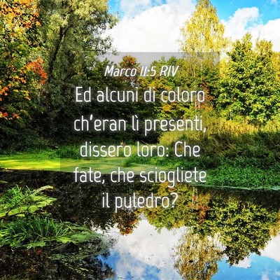 Picture 04 - Marco 11:5 RIV - Ed alcuni di coloro ch’eran lì presenti, - Bible Verse Picture