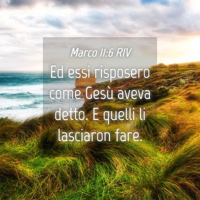 Picture 04 - Marco 11:6 RIV - Ed essi risposero come Gesù aveva detto. E - Bible Verse Picture