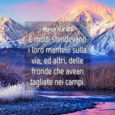 Picture 04 - Marco 11:8 RIV - E molti stendevano i loro mantelli sulla via; ed - Bible Verse Picture