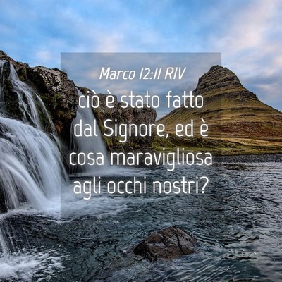 Picture 04 - Marco 12:11 RIV - ciò è stato fatto dal Signore, ed è cosa - Bible Verse Picture