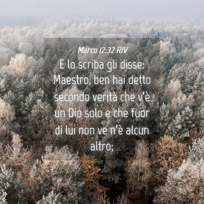 Picture 04 - Marco 12:32 RIV - E lo scriba gli disse: Maestro, ben hai detto - Bible Verse Picture