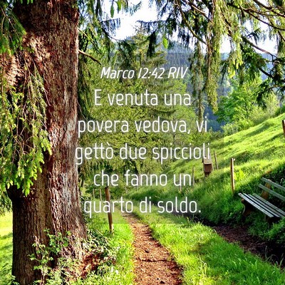 Picture 04 - Marco 12:42 RIV - E venuta una povera vedova, vi gettò due - Bible Verse Picture