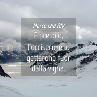 Picture 04 - Marco 12:8 RIV - E presolo, l’uccisero, e lo gettarono fuor - Bible Verse Picture