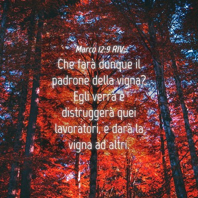 Picture 04 - Marco 12:9 RIV - Che farà dunque il padrone della vigna? Egli - Bible Verse Picture