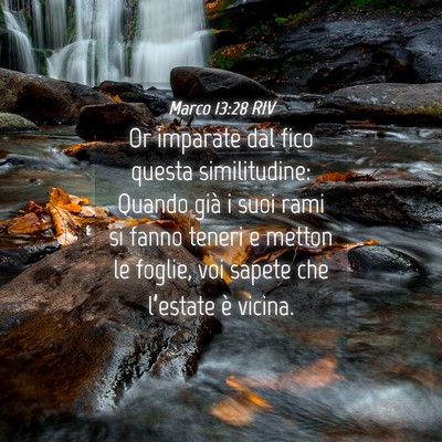 Picture 04 - Marco 13:28 RIV - Or imparate dal fico questa similitudine: Quando - Bible Verse Picture