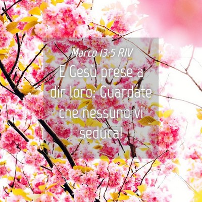Picture 04 - Marco 13:5 RIV - E Gesù prese a dir loro: Guardate che nessuno vi - Bible Verse Picture
